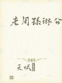 老周孙琳公交车