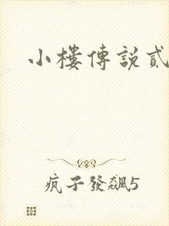 小楼传说贰