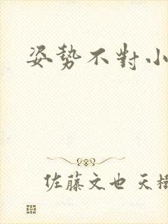 姿势不对小说