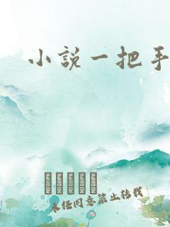 小说一把手