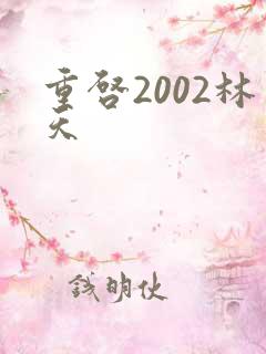 重启2002林天