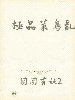 极品菜鸟乱江湖