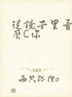 从镜子里看我怎么C你