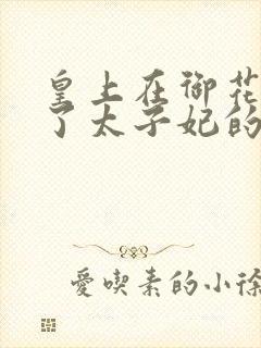 皇上在御花园c了太子妃的网剧