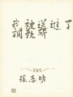 我被送进了私奴调教所