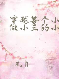 穿越各个小世界做小三的小说