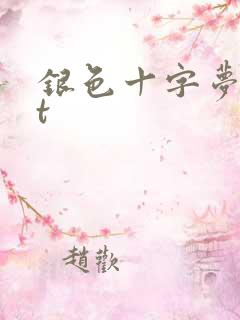 银色十字梦txt