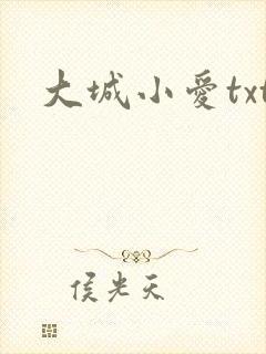 大城小爱txt