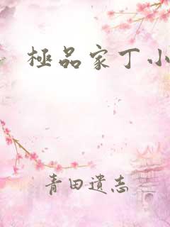 极品家丁小说