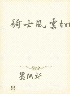骑士风云txt