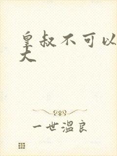 皇叔不可以 太大