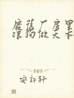 废旧厂房里和流浪狗做天本