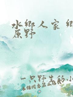 水乡人家 乡村原野