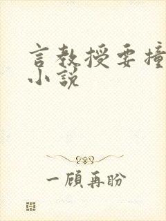 言教授要撞坏了小说