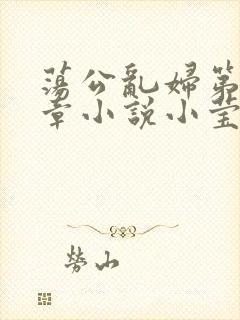 荡公乱妇第51章小说小莹