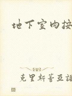 地下室肉按摩椅