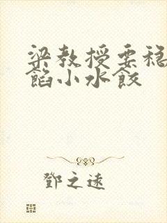 梁教授要稳住肉馅小水饺