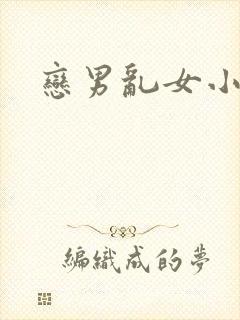 恋男乱女小说
