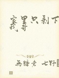 家里只剩下我和我哥