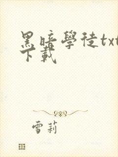 黑暗学徒txt下载