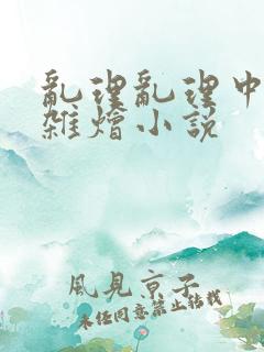 乱理乱理中文大杂烩小说