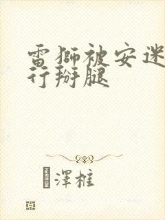 雷狮被安迷修强行掰腿