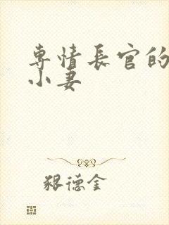 专情长官的天价小妻