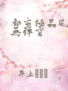 都市极品风水师无弹窗