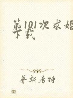 第101次求婚下载