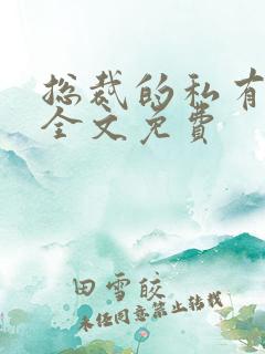 总裁的私有宝贝全文免费