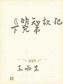 《明知故犯》年下兄弟