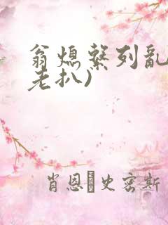 翁熄系列乱 (老扒)