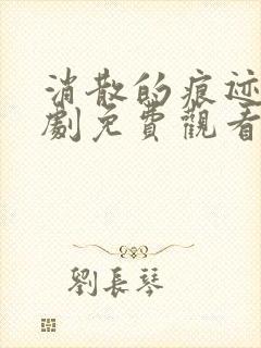 消散的痕迹电视剧免费观看完整版