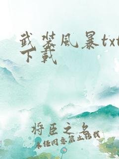 武装风暴txt下载