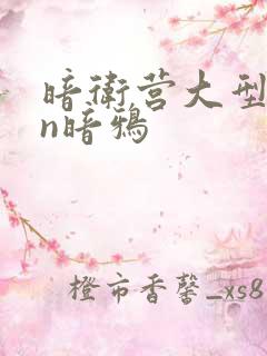 暗卫营大型hpn暗鸦