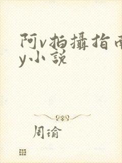 阿v拍摄指南by小说