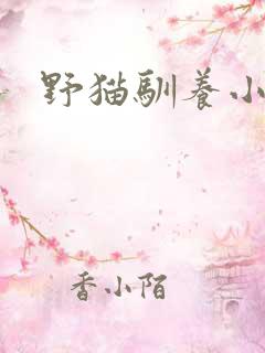 野猫驯养小说