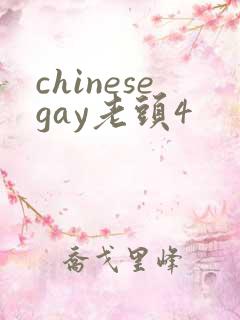chinesegay老头4