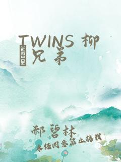 TWINS 柳澤兄弟