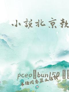 小说北京教父