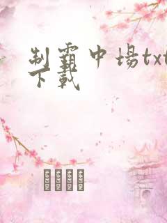 制霸中场txt下载