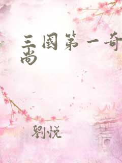 三国第一奇兵袁尚