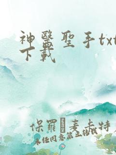 神医圣手txt下载