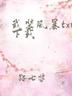 武装风暴txt下载