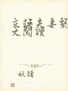 交换夫妻系列全文阅读