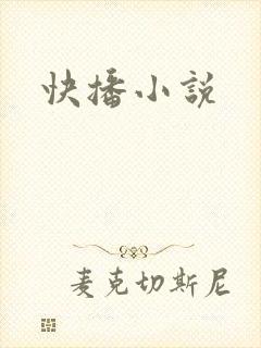 快播小说