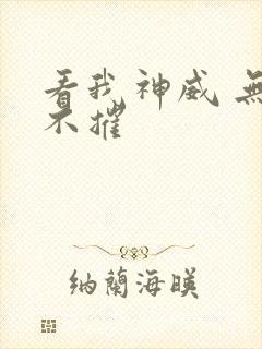 看我神威 无坚不摧