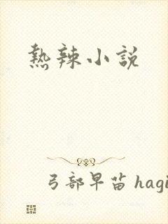 热辣小说