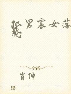 孤男寡女落瑛纷飞