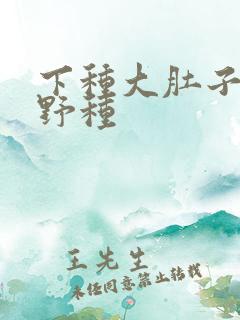 下种大肚子怀孕野种